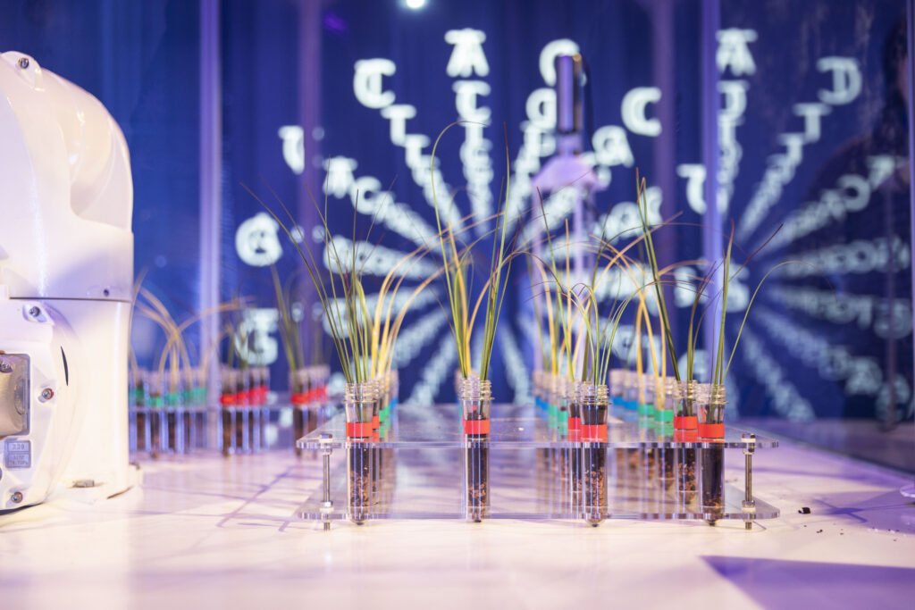 Ein Raster mit Pflanzen im Reagenzglas vor einer DNA-Code-Projektion.